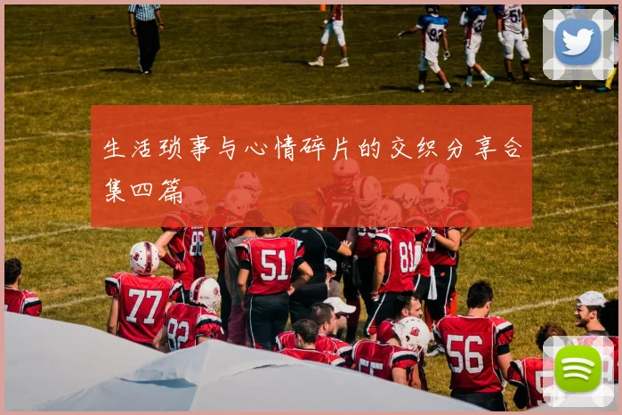 生活琐事与心情碎片的交织分享合集四篇