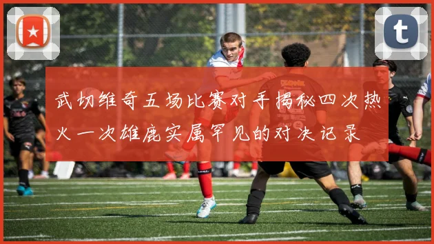 武切维奇五场比赛对手揭秘四次热火一次雄鹿实属罕见的对决记录