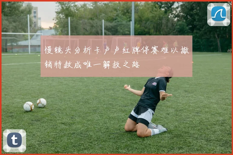 慢镜头分析卡卢卢红牌停赛难以撤销特赦成唯一解救之路